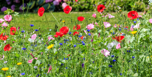 Memorial Flower Image 1